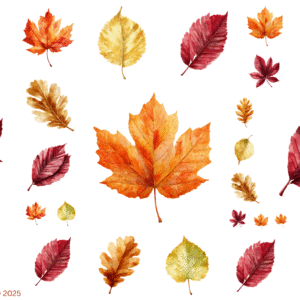 Fall Leaves