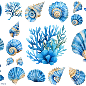 Coastal Blue Sea Shells 1