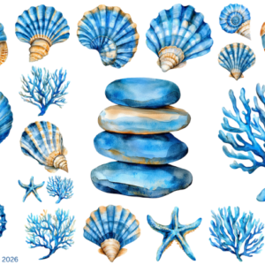 Coastal Blue Sea Shells 2