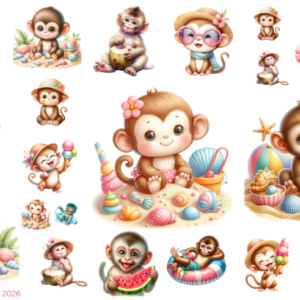 Cute Monkey Beach