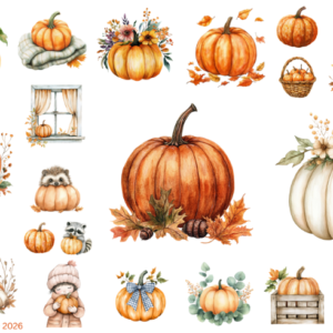 Fall Pumpkins Picked