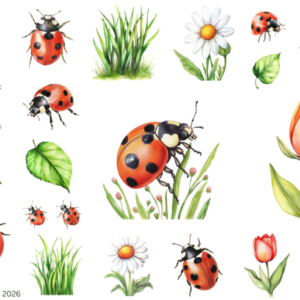 Lady Bugs 1