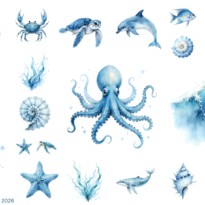 Ocean Sea Blue Creatures