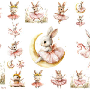 Pink Ballerina Bunny 1