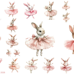 Pink Ballet Bunny 2