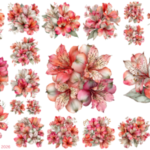 Spring Lily Flowers Bright