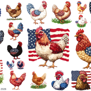USA Chickens